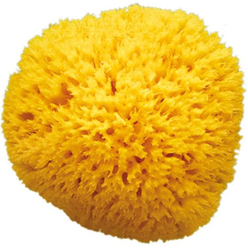 Eponge naturelle Honeycomb Taille 12 BEIGE OkBaby