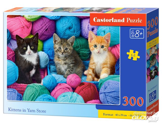Castorland Kittens in Yarn Store