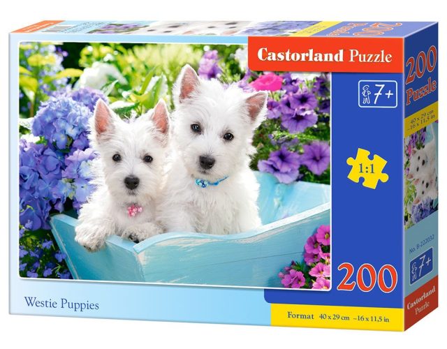 Castorland Westie Puppies