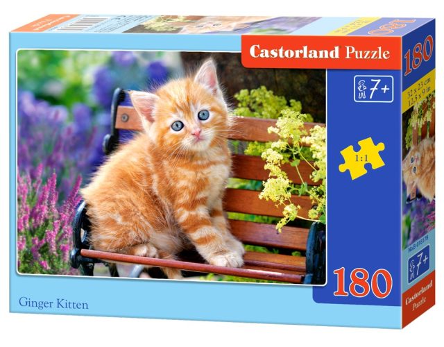 Castorland Gingembre chaton Puzzle 180 pièces -  - Puzzle