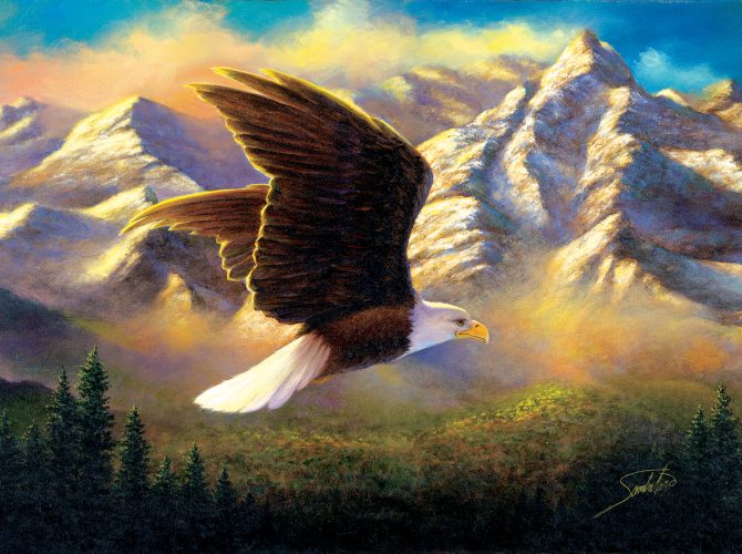 Puzzle Abraham Hunter - Flying High SunsOut