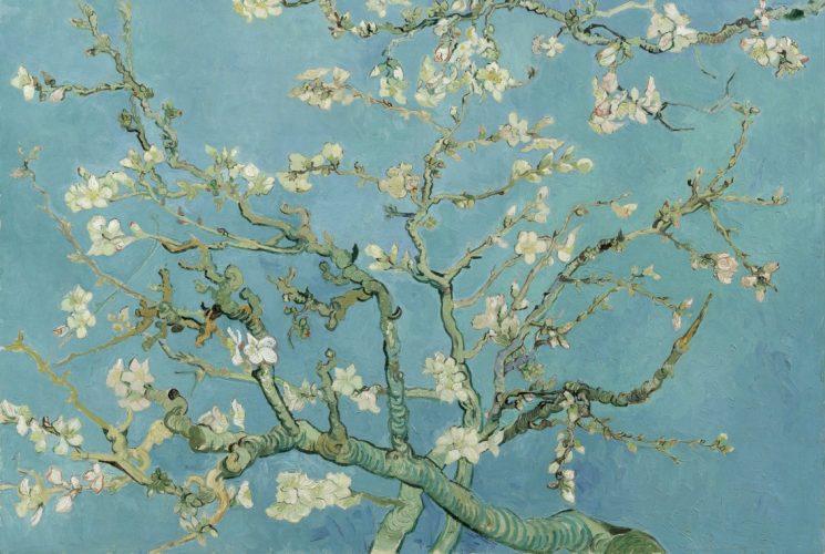 Puzzle Vincent van Gogh : Amandier en Fleurs