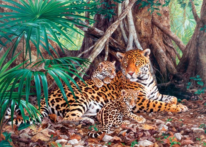 Puzzle Jaguars dans la forêt Castorland