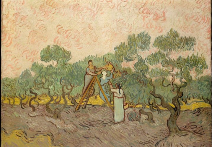 Puzzle Van Gogh Vincent : Femmes ramassant des Olives