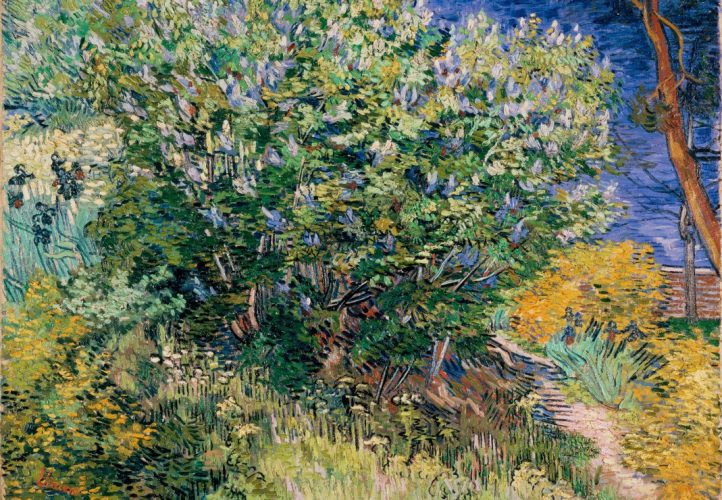 Puzzle Van Gogh Vincent - Lilas