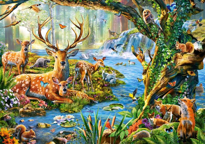 Puzzle Forest Life Castorland