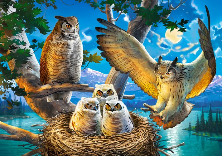 Puzzle Owl Family Castorland