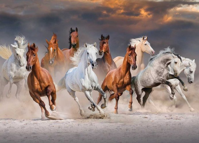 Puzzle Desert Horses Jumbo