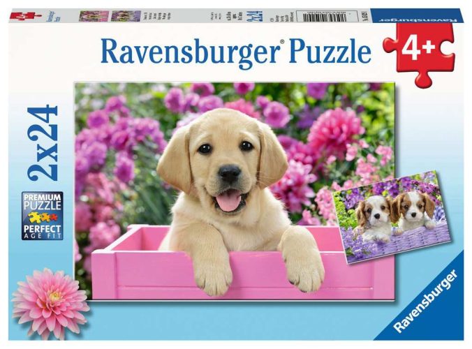 2 Puzzles - Amis tout doux Ravensburger