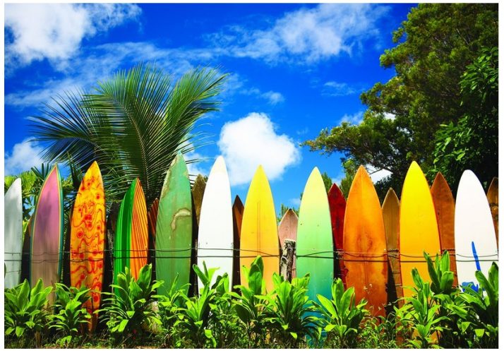 Puzzle Le paradis des Surfers - Hawaii Eurographics
