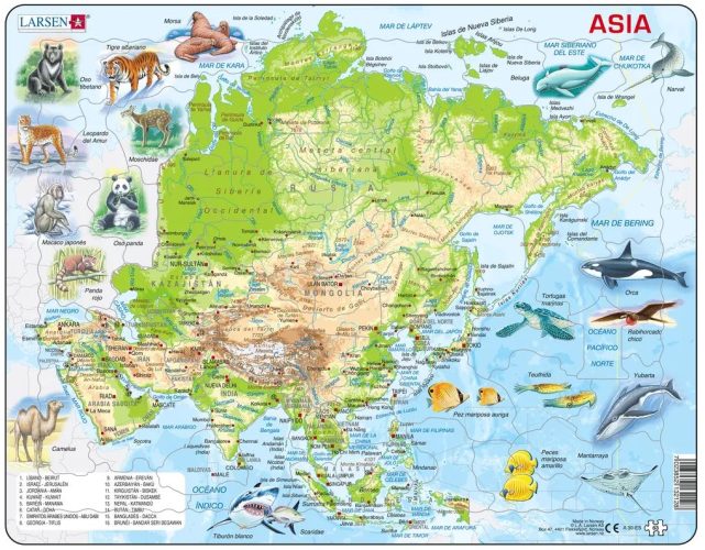 Puzzle Cadre - Carte Topographique de l'Asie (Espagnol) Larsen