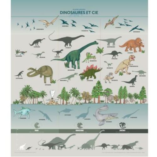 Planche Dinosaures et Cie illustrée (60 x 80 cm)