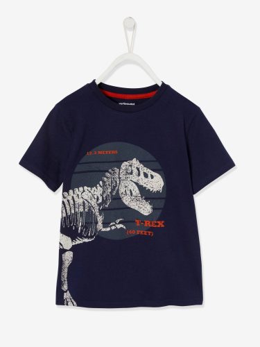 t-shirt-motif-dinosaure-geant-garcon